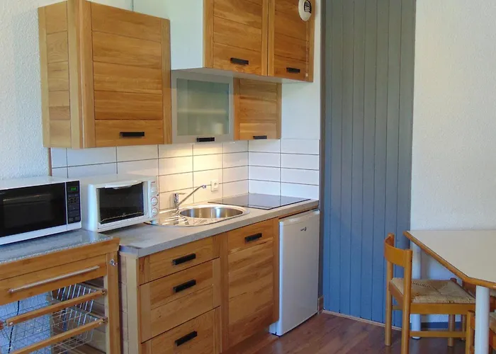 2 Pièces Sud-est Chamonix, Parking&animaux Admis - Fr-1-517-54 Appartement *