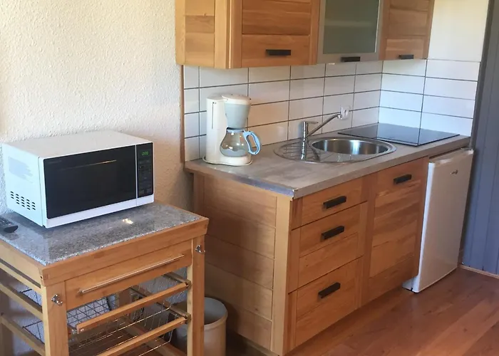 2 Pièces Sud-est Chamonix, Parking&animaux Admis - Fr-1-517-54 Appartement