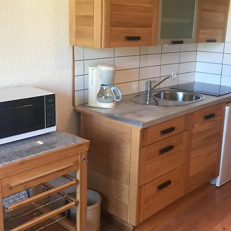 2 Pieces Sud-est Chamonix, Parking & Animaux Admis - Fr-1-517-54 Apartman