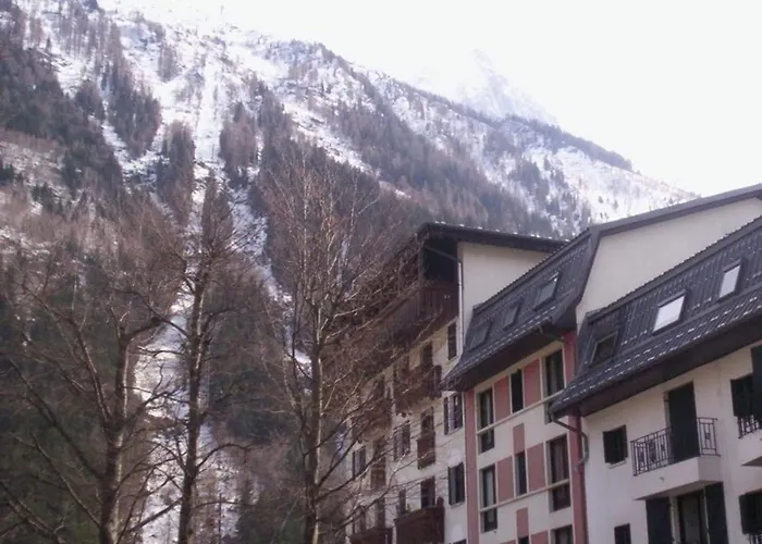 2 Pieces Sud-est Chamonix, Parking & Animaux Admis - Fr-1-517-54 Chamonix