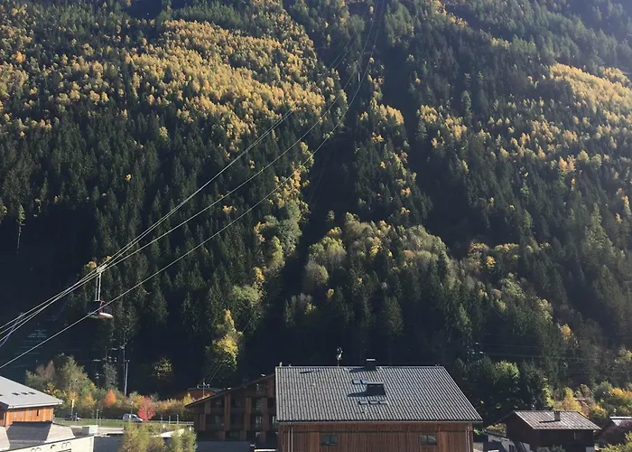 Lejlighed 2 Pieces Sud-est Chamonix, Parking & Animaux Admis - Fr-1-517-54 Chamonix